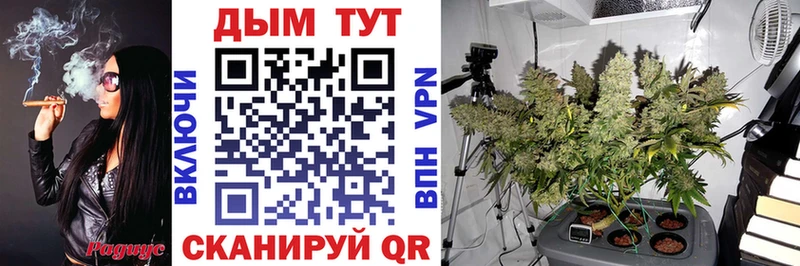 Все наркотики Михайловка APVP  МЕФ 