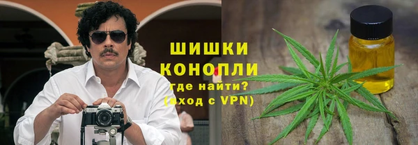 ПСИЛОЦИБИНОВЫЕ ГРИБЫ Куйбышев
