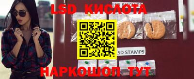 твердый Камышлов