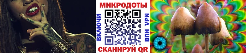 Галлюциногенные грибы мицелий  где можно купить   Михайловка 