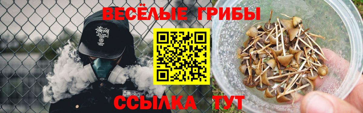 Михайловка  Псилоцибиновые грибы GOLDEN TEACHER  Галлюциногенные грибы мухоморы  Вход с VPN 
