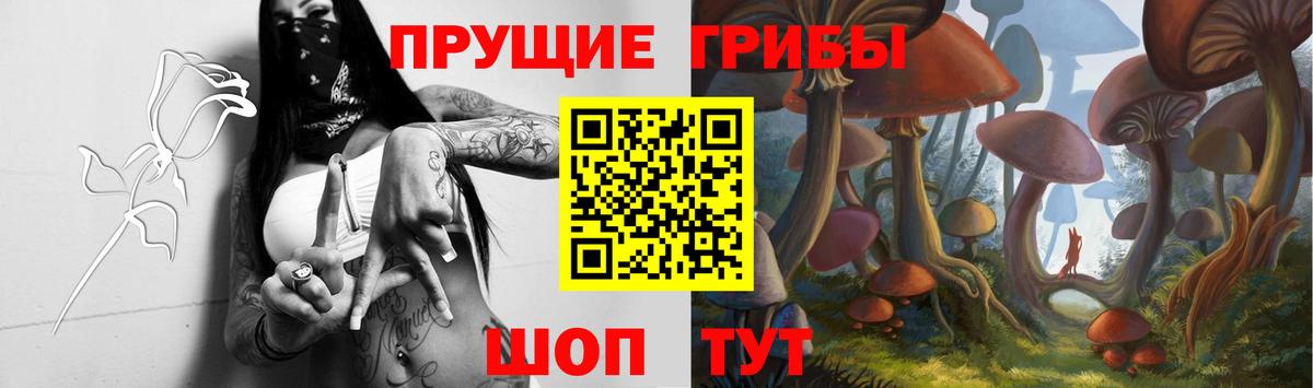 Галлюциногенные грибы Psilocybine cubensis Михайловка